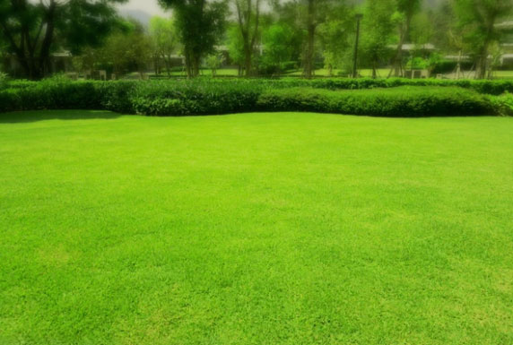 Commercial--Residential-Lawn-Care-Maintenance